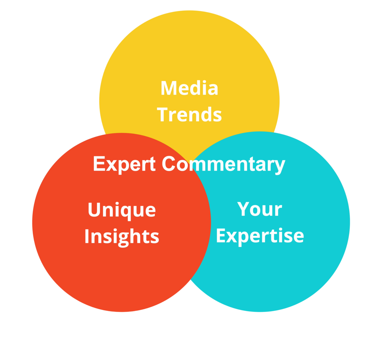 expertise commentary model